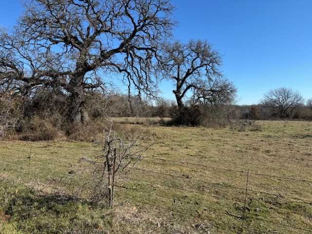 photo 1: 668 County Road 1340, Chico TX 76431