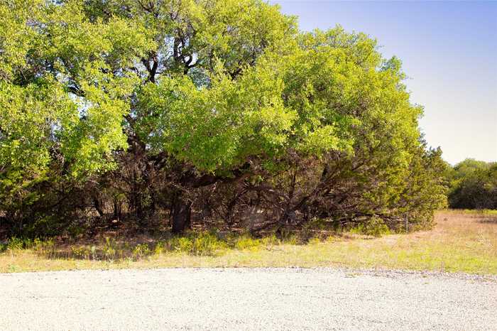 photo 2: Lot 100 Dollar Pt Court, Mineral Wells TX 76067