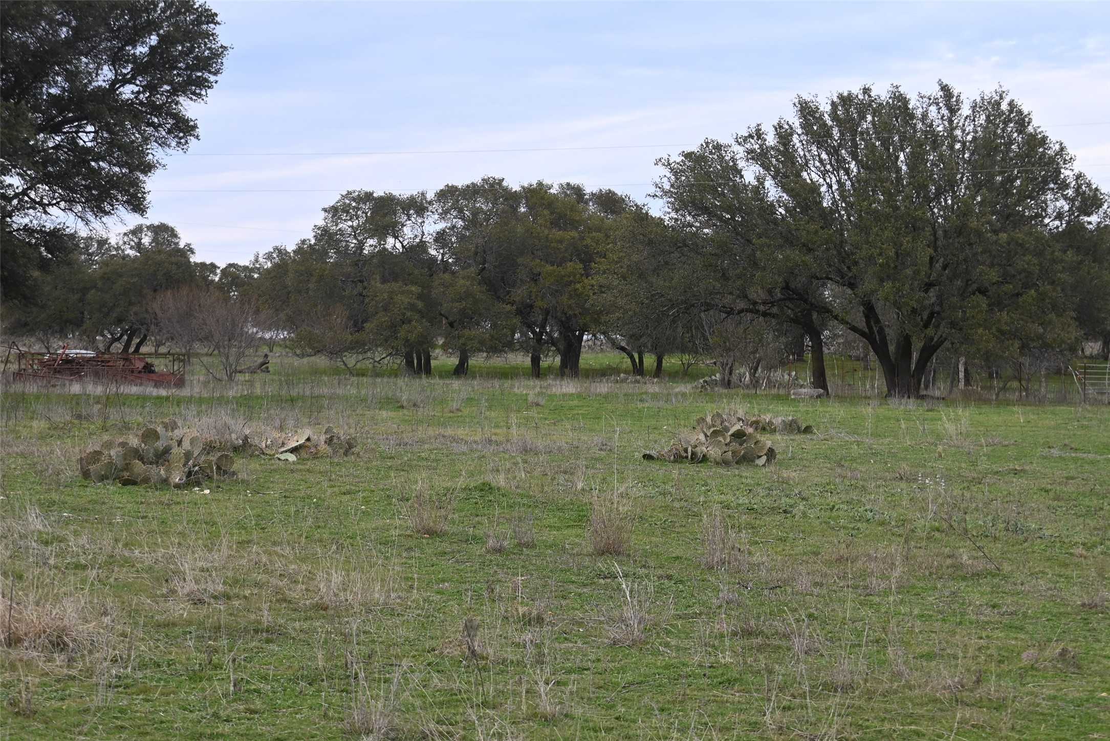 photo 3: 560 W US Highway 84 Highway W, Goldthwaite TX 76844