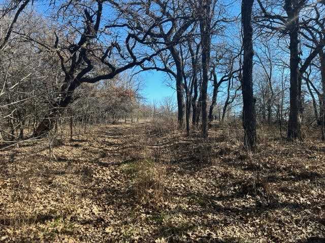 photo 3: Oak Ridge Trail, Bridgeport TX 76426