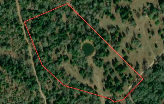 photo 30: Lot 45 FM 489, Fairfield TX 75840