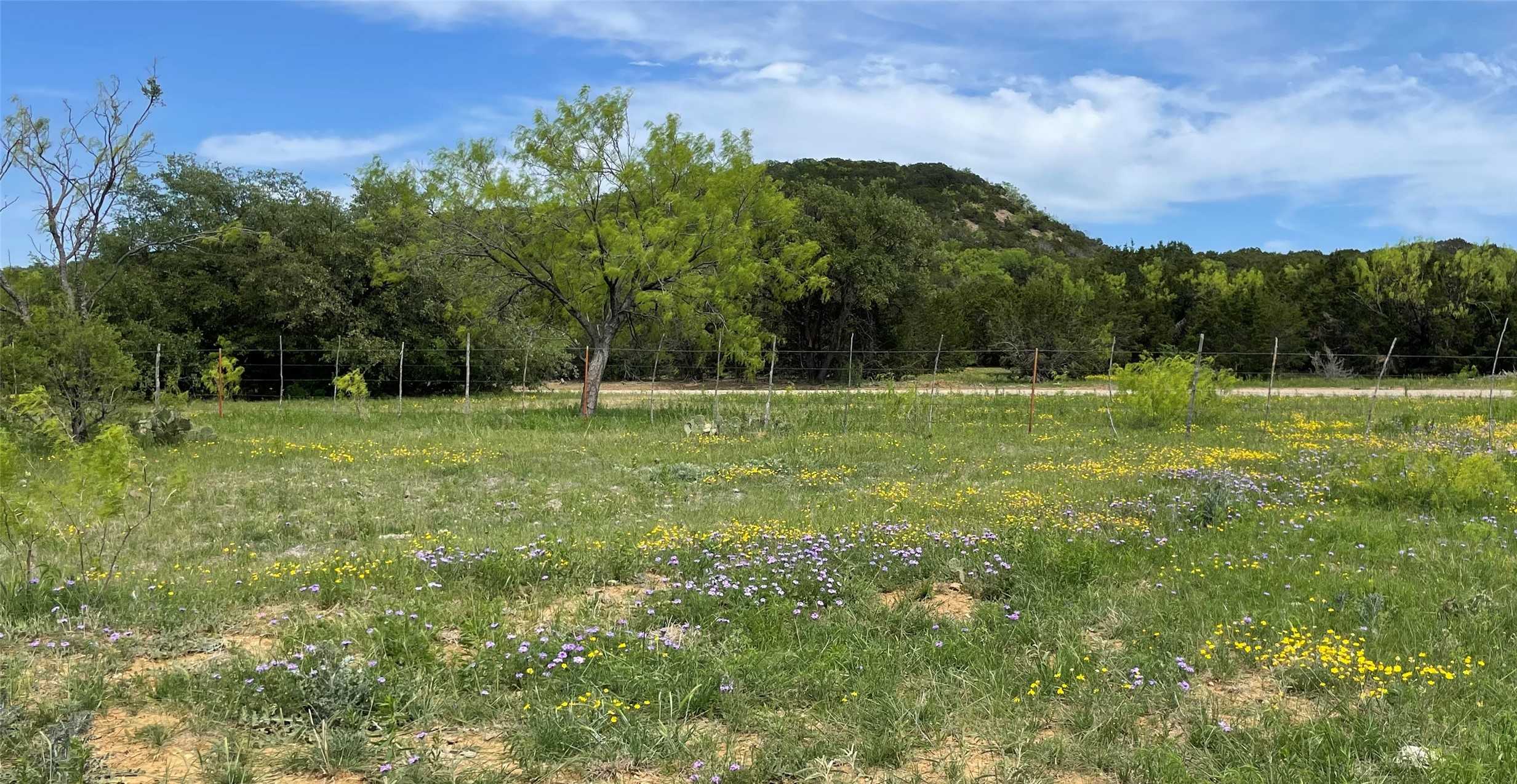 photo 2: TBD Lot 6 1416 Ranch - Hwy 16, Ranger TX 76475