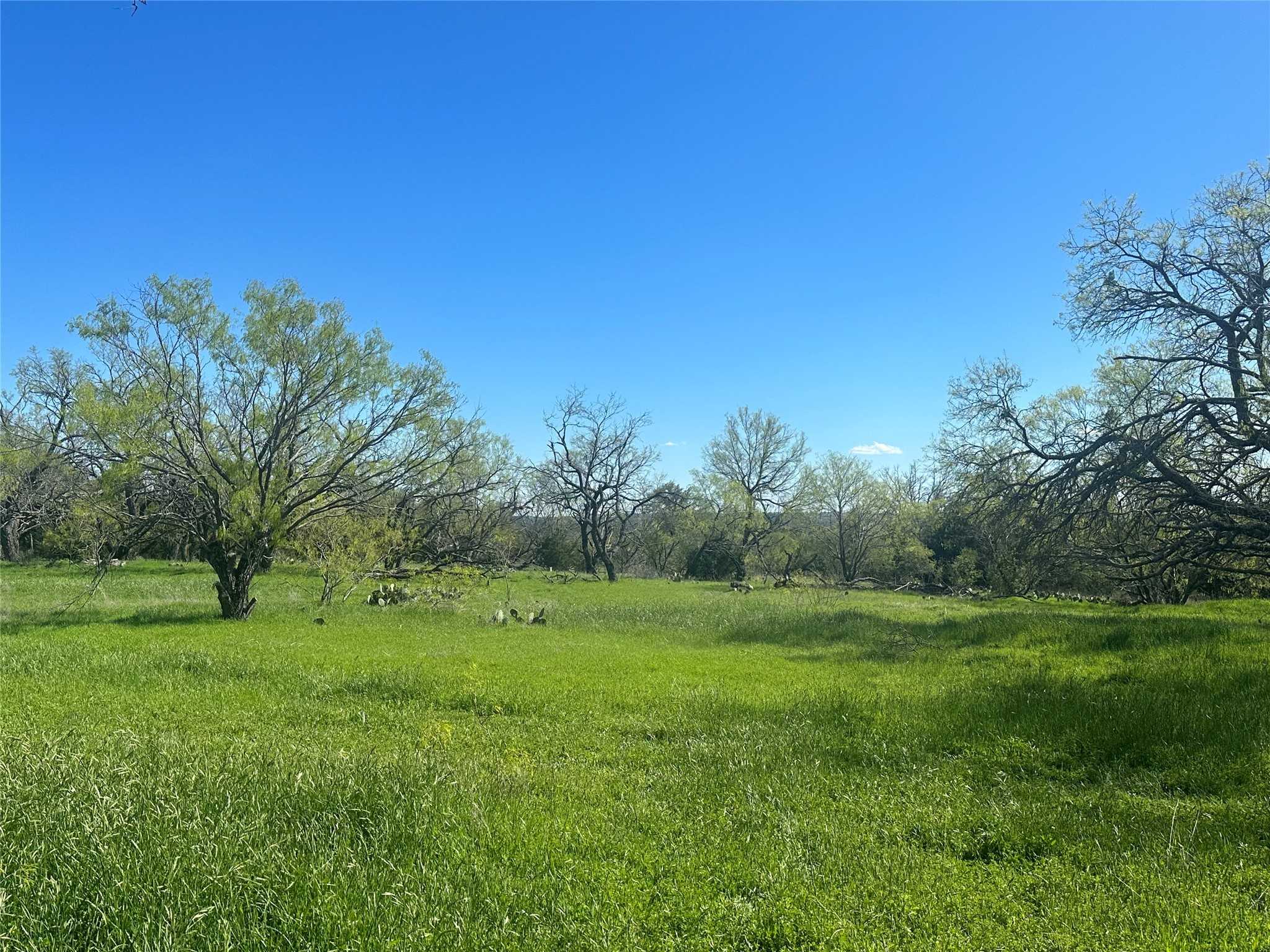 photo 3: 31 CR 249, Goldthwaite TX 76844