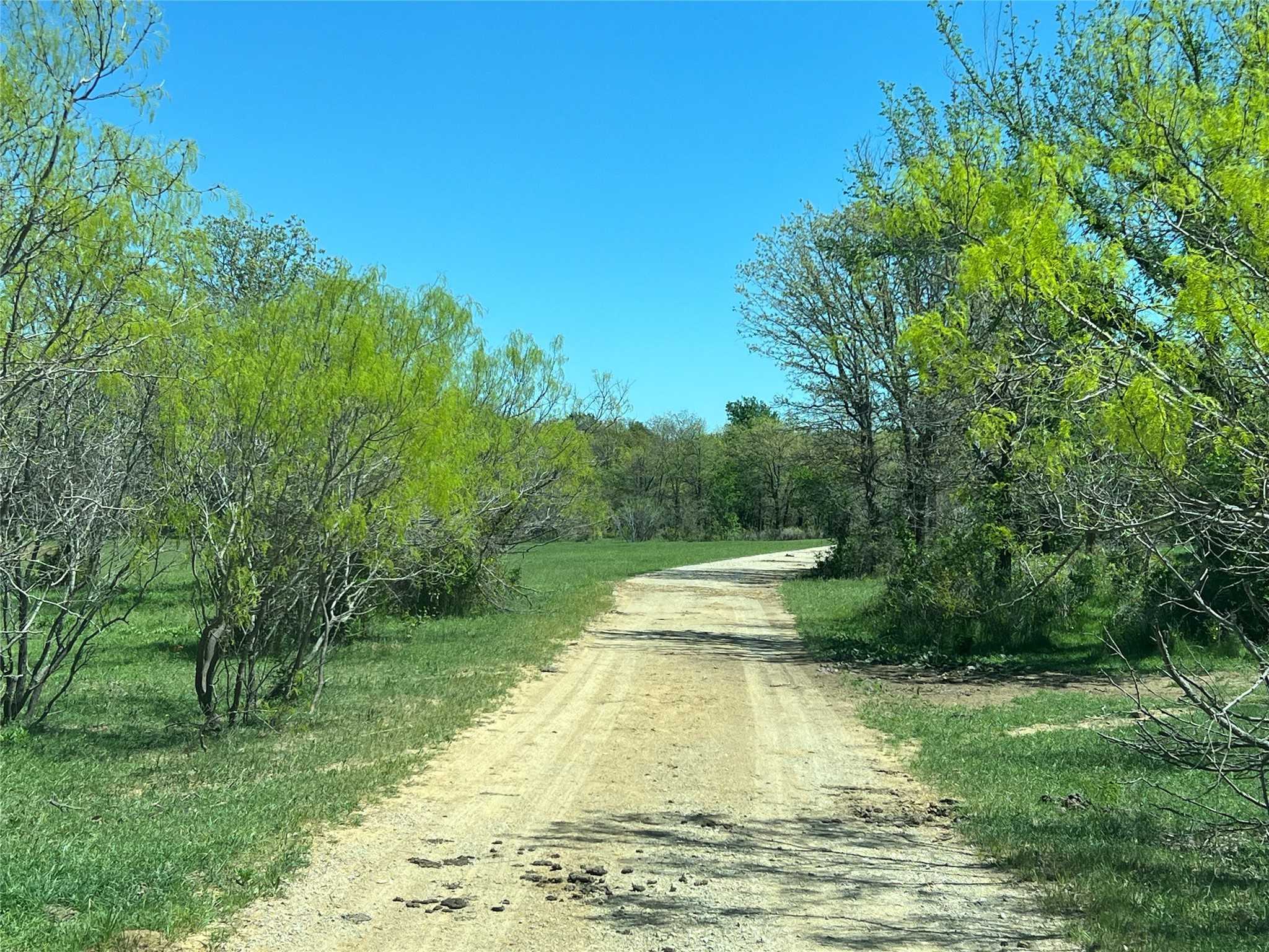 photo 2: 4127 salt creek road, Jacksboro TX 76458