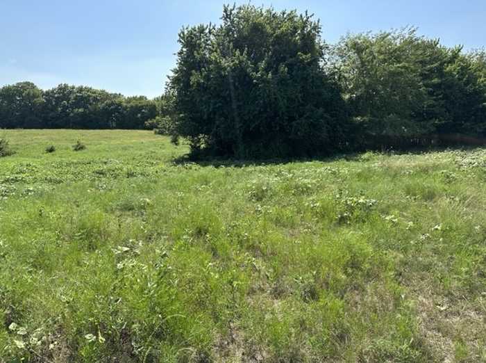 photo 25: Lot 8 East Ball Street, Tom Bean TX 75489