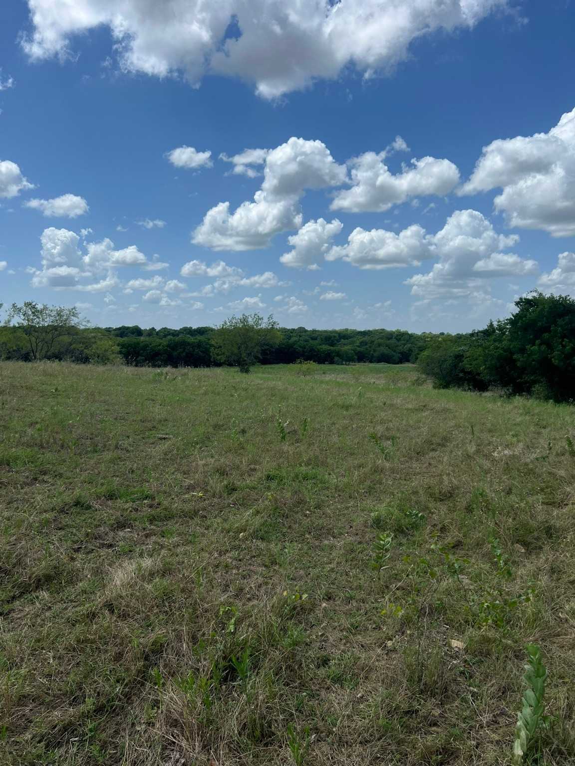 photo 3: 647 Hcr 4411, Grandview TX 76050