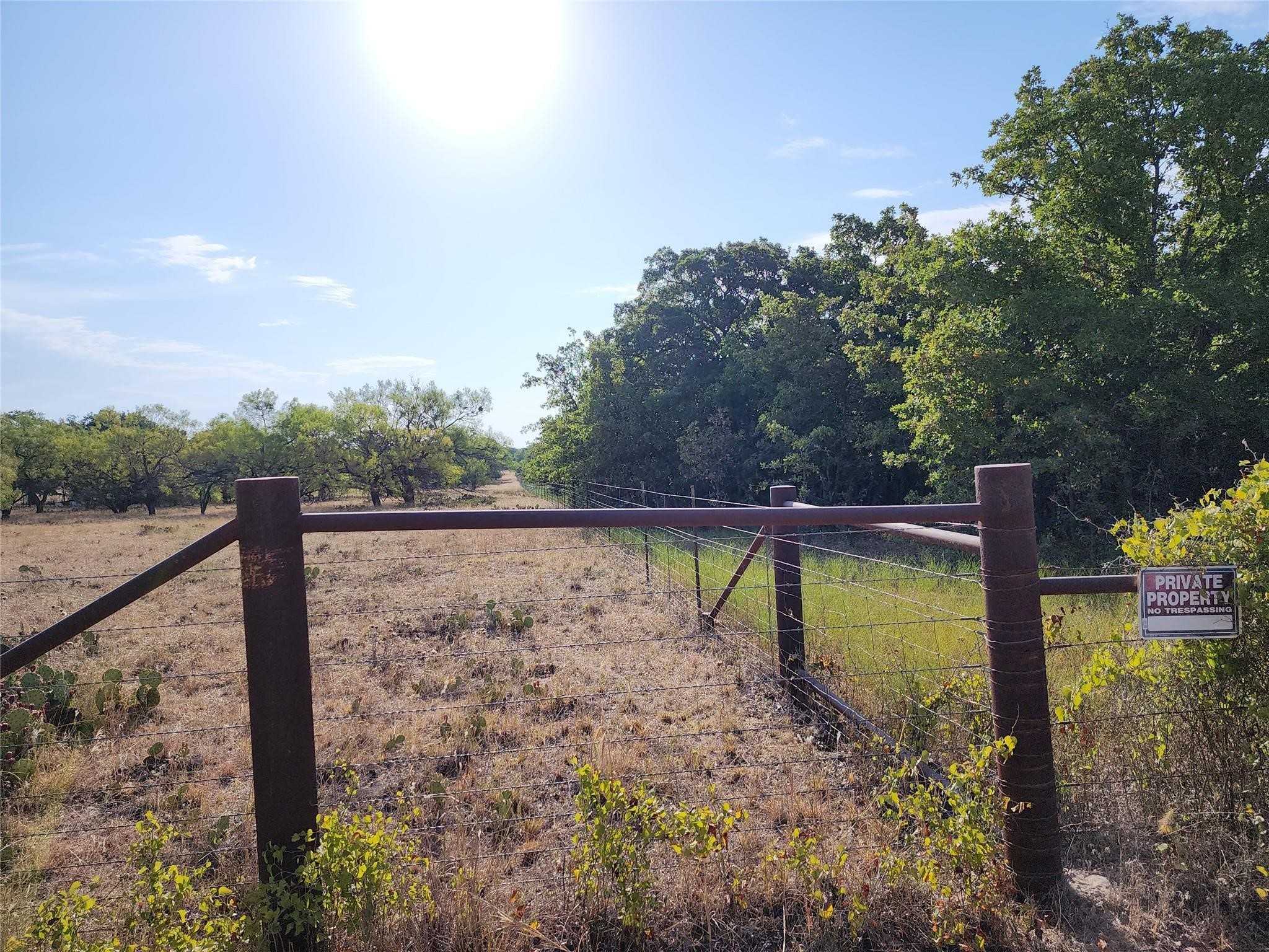 photo 3: TBD County Road 125 Road, Ranger TX 76470