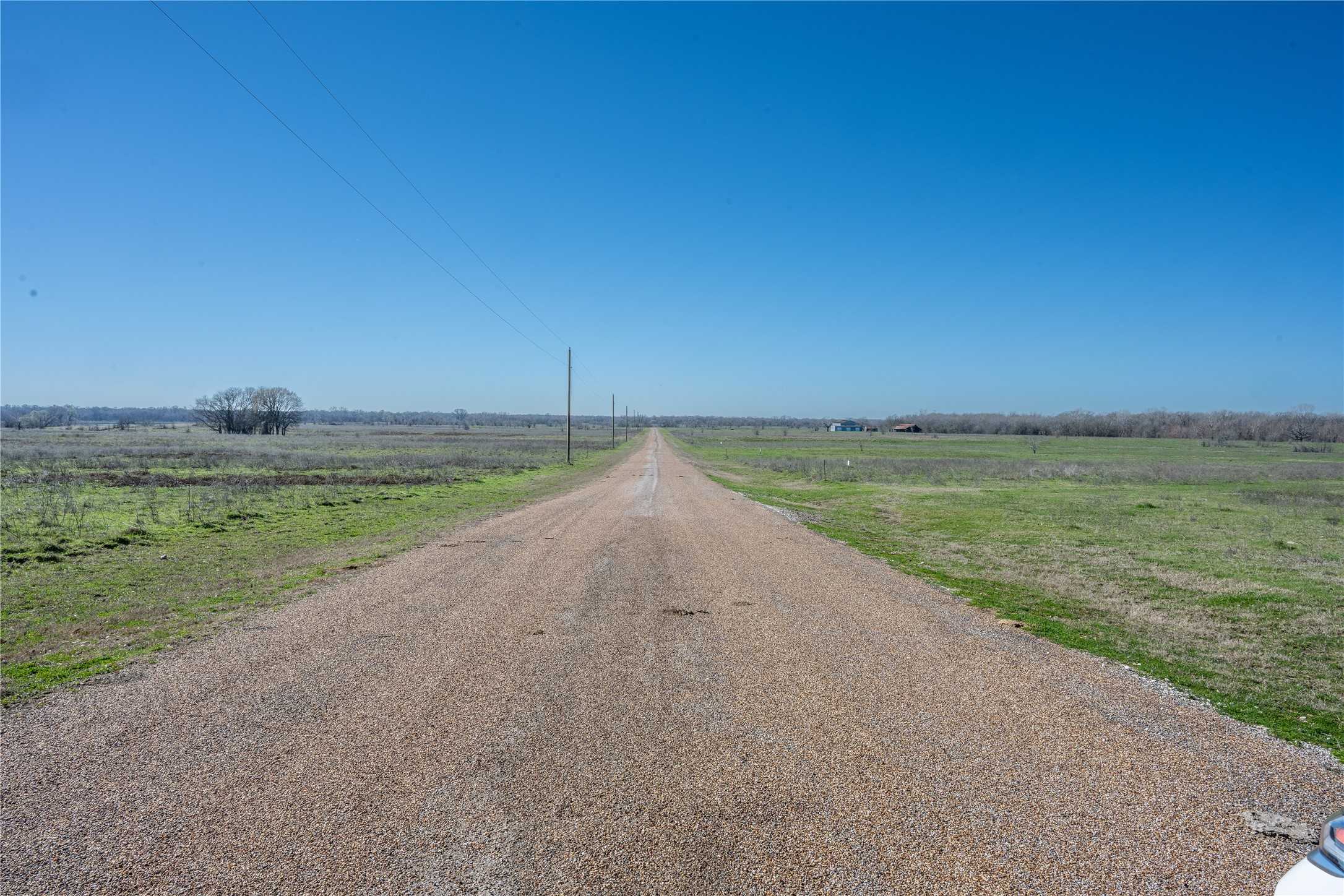 photo 3: Lot 30 Private Road 8496, Cayuga TX 75832