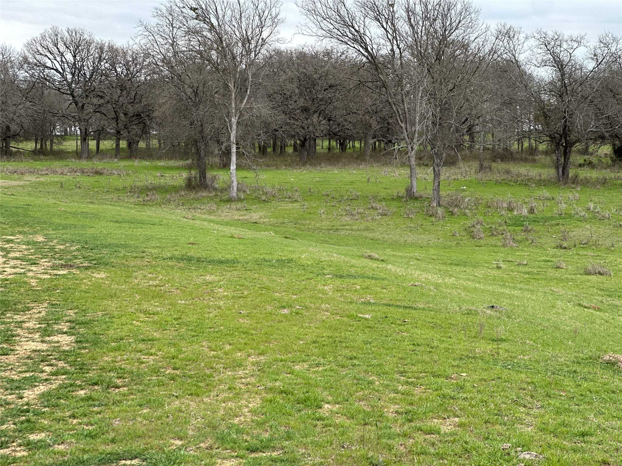 photo 2: Lot5 Blk1 TBD SH 171, Covington TX 76636