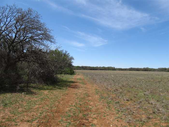 photo 2: FM 2559 Fm 2559, Brownwood TX 76801