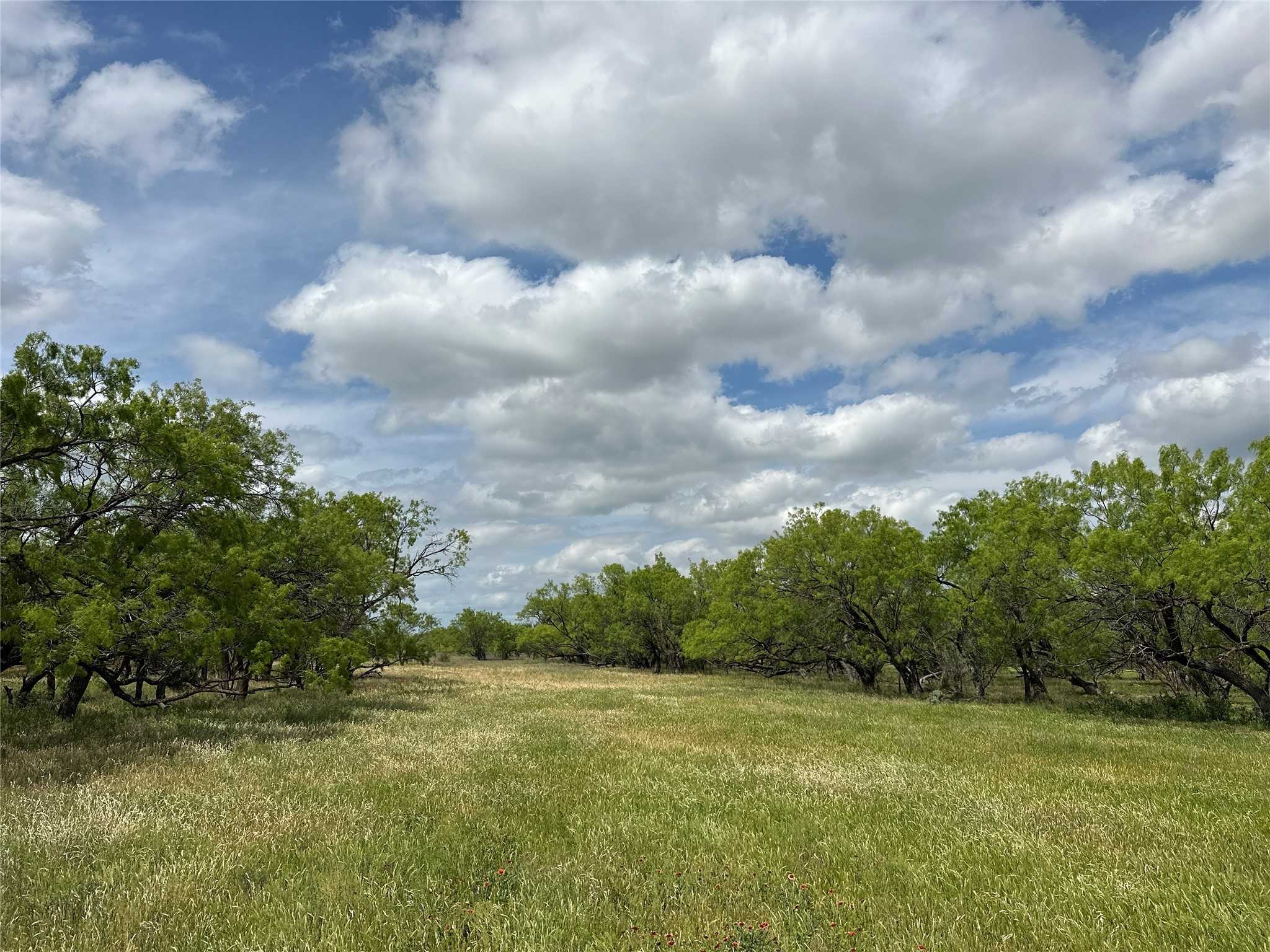 photo 3: 754 CR 150, Abilene TX 79601