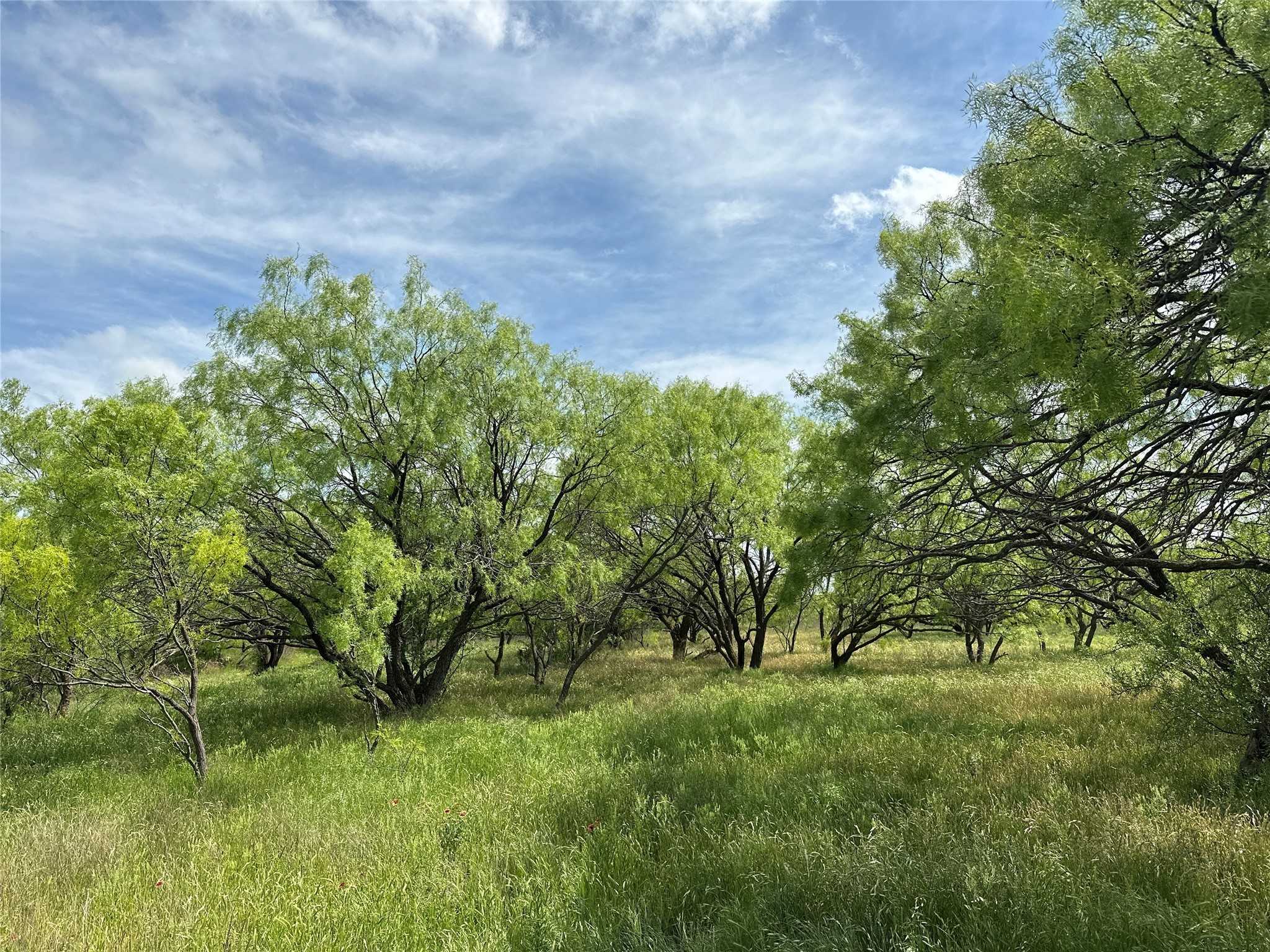 photo 2: Tract 17 CR 150, Abilene TX 79601