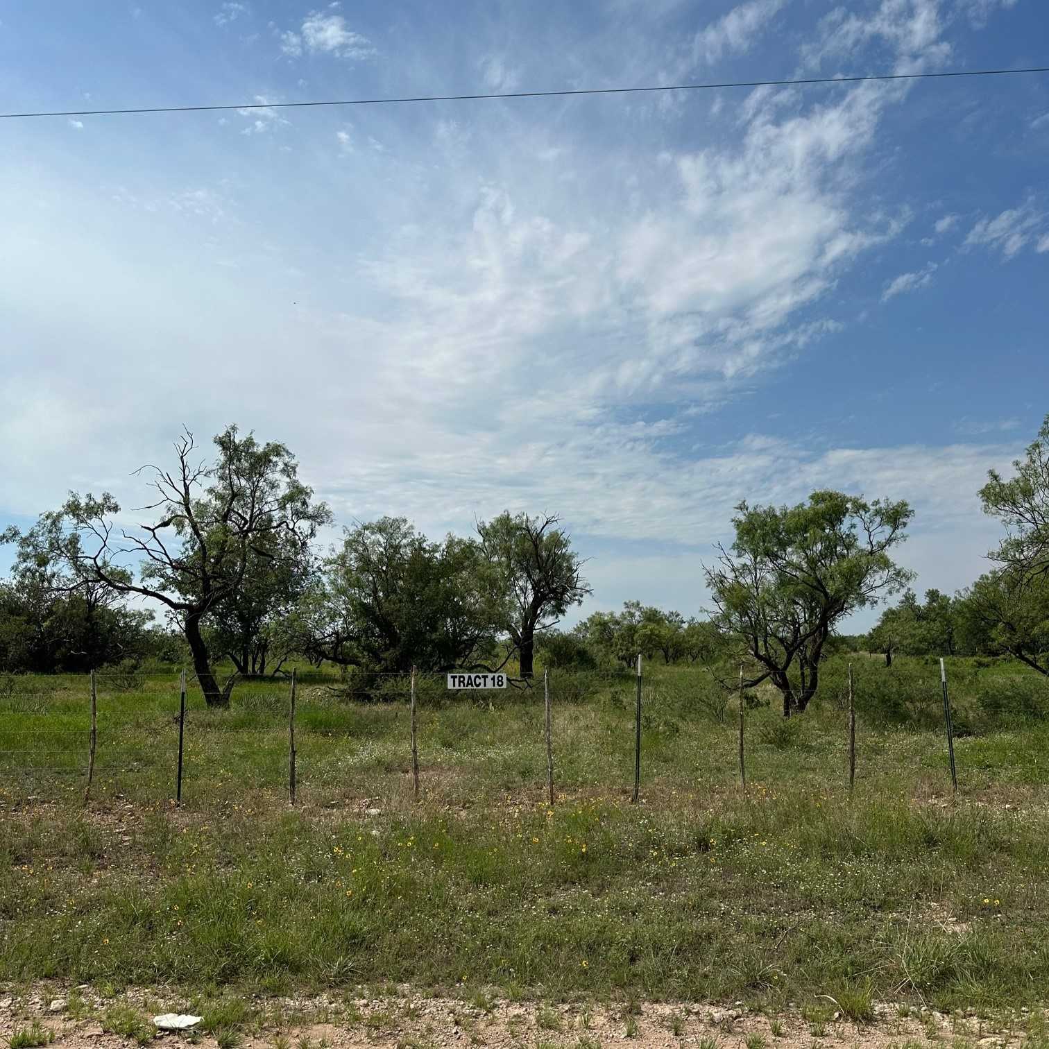 photo 2: Tract 18 County Road 150, Abilene TX 79601