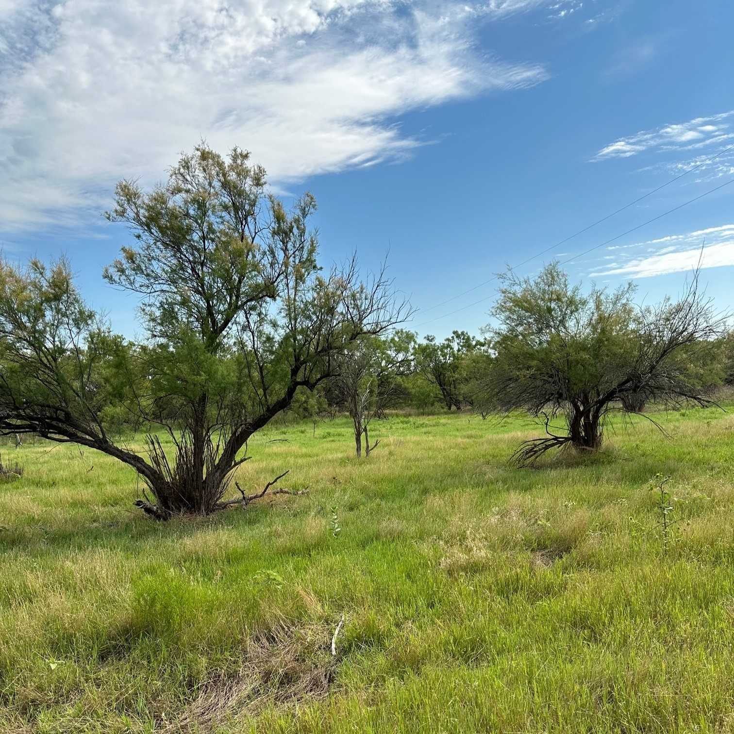 photo 3: Tract 18 County Road 150, Abilene TX 79601