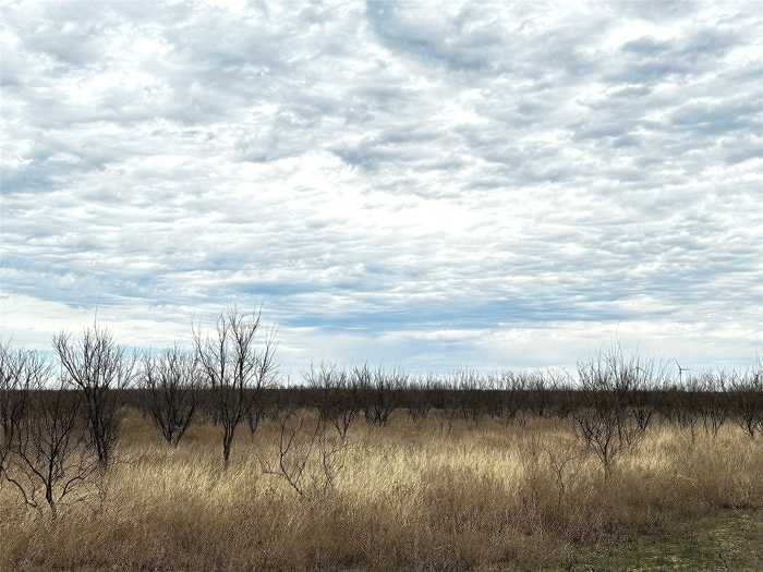 photo 10: Tract 15 CR 150, Abilene TX 79601