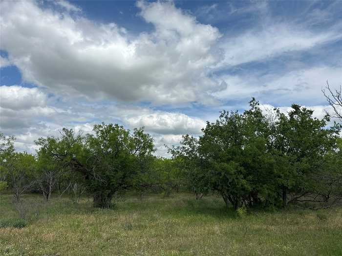 photo 2: Tract 15 CR 150, Abilene TX 79601