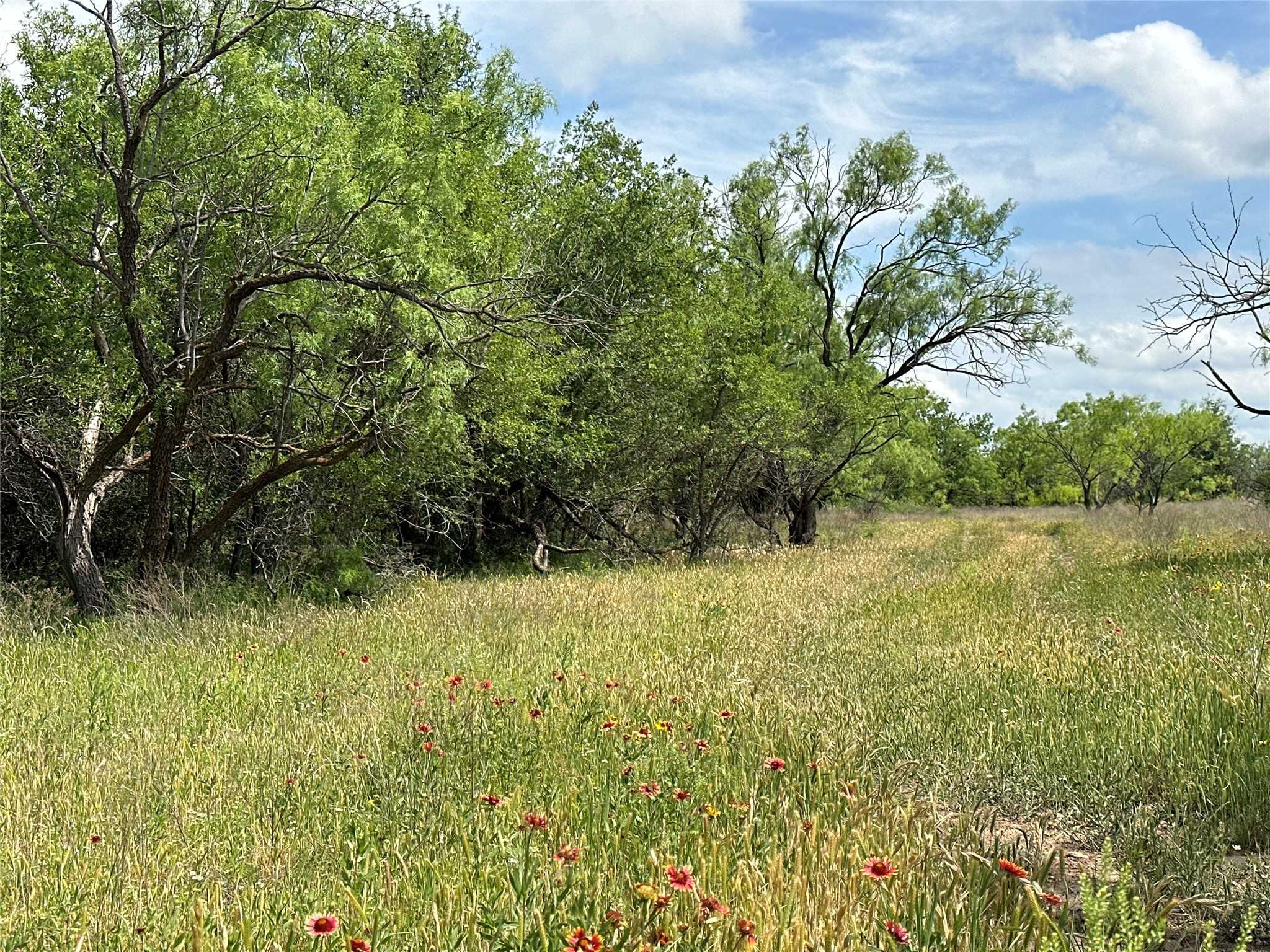 photo 3: Tract 15 CR 150, Abilene TX 79601