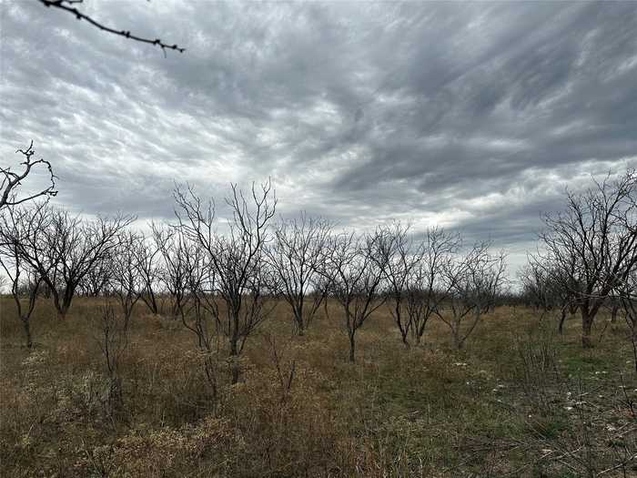 photo 11: Tract 19 CR 150, Abilene TX 79601