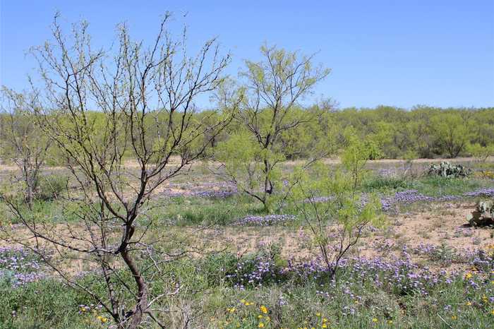 photo 2: Fm 1929, Paint Rock TX 76866