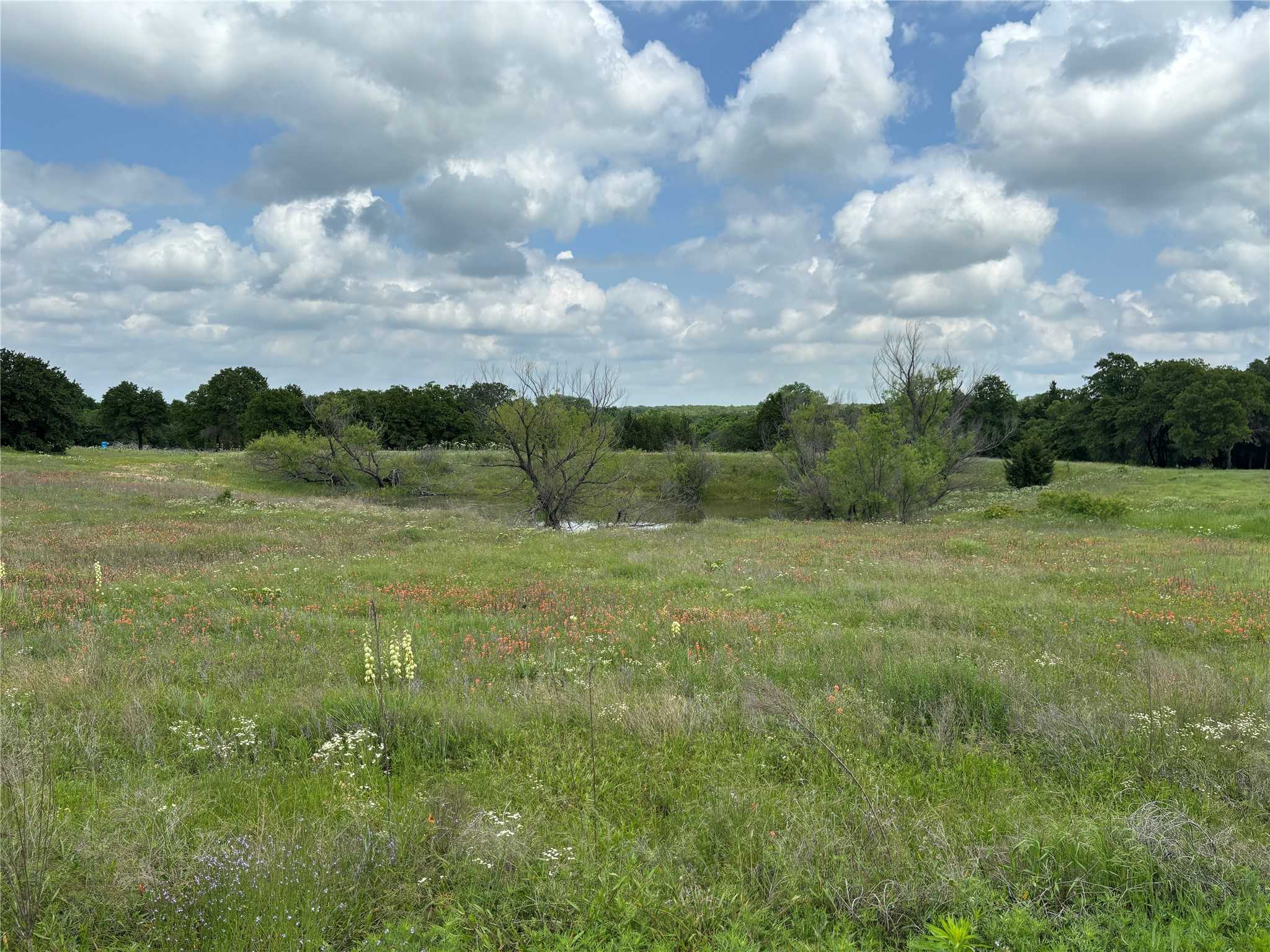 photo 1: Pondview Lane, Nocona TX 76255