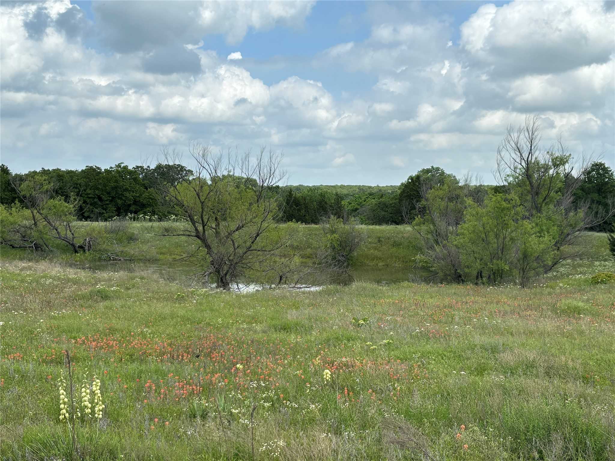 photo 2: Pondview Lane, Nocona TX 76255