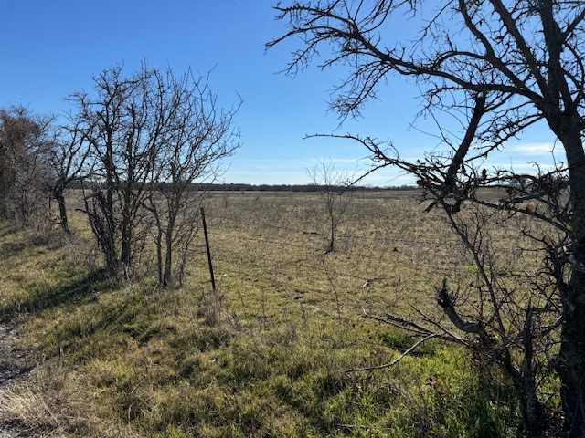 photo 2: County Road 1346, Chico TX 76431