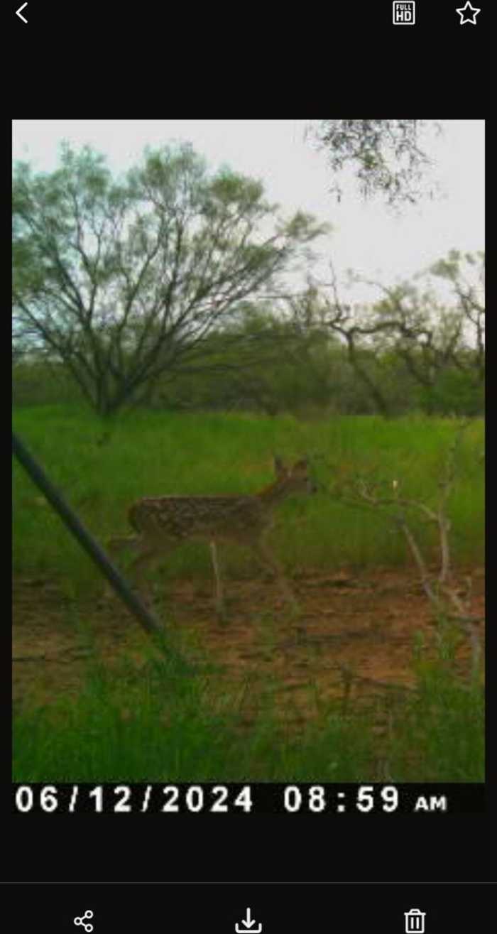 photo 25: 1050 County Road 258, Santa Anna TX 76878