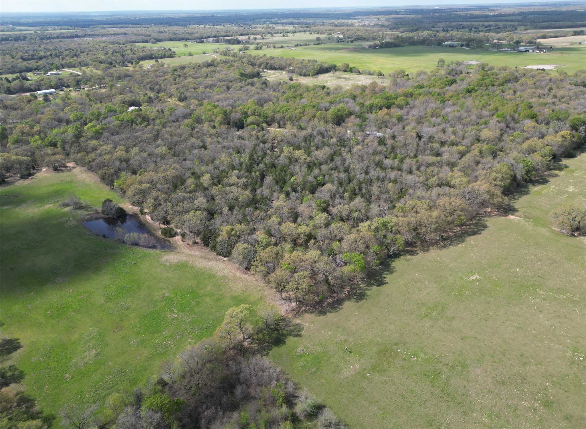 photo 3: CR-1200, Athens TX 75751