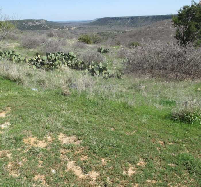 photo 1: Lot 221-R Oak Tree Drive, Possum Kingdom Lake TX 76449