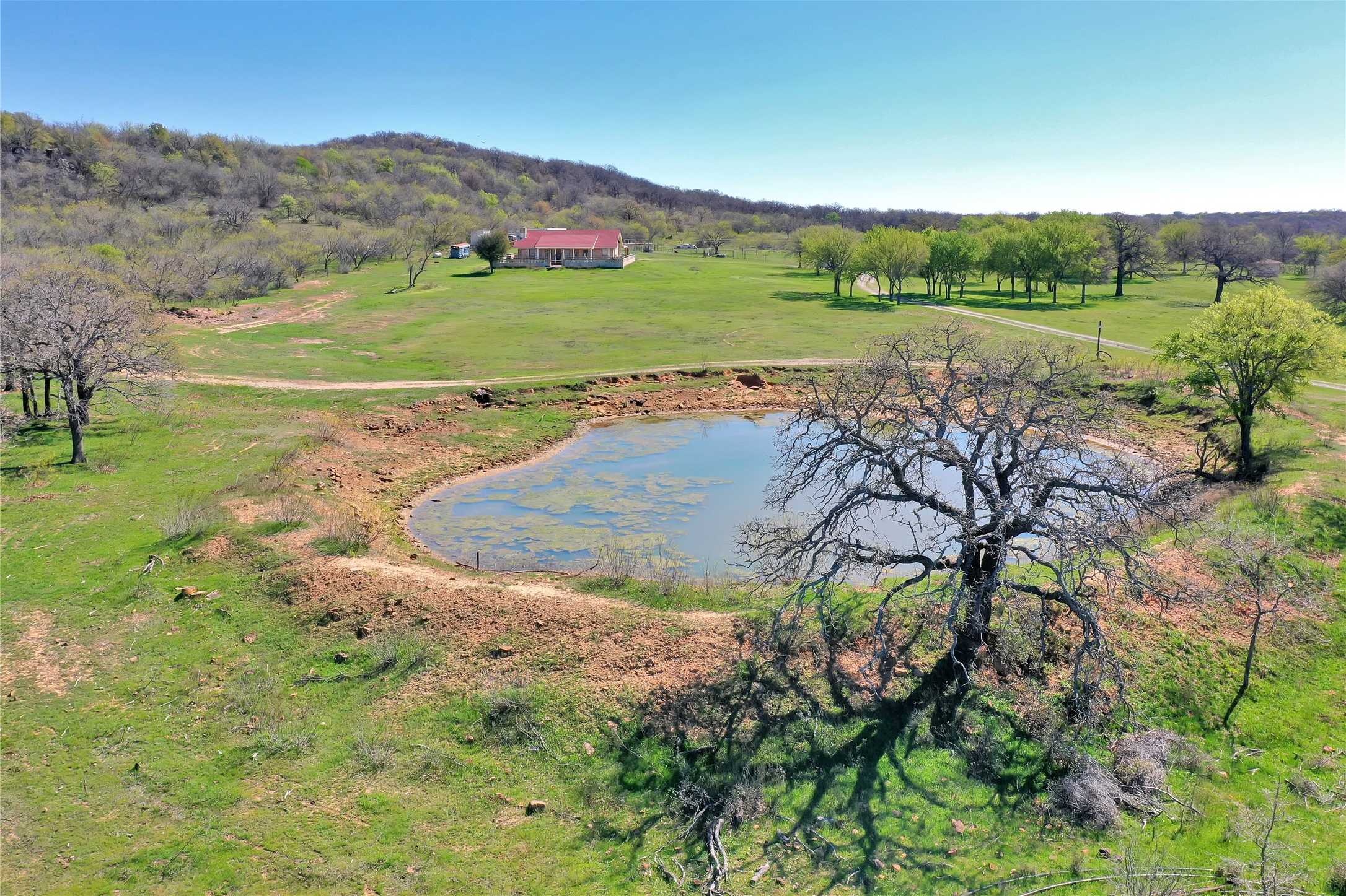 photo 2: 31.16 Acres Roberts Branch Road, Jacksboro TX 76458