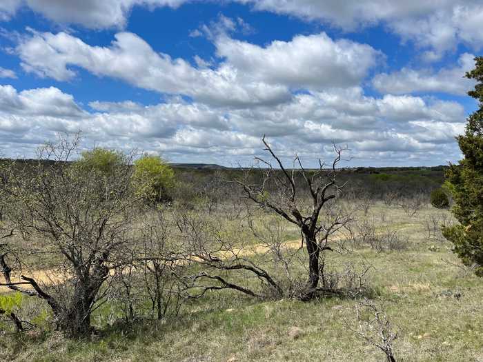 photo 1: East 17 ac Burwick Road, Jacksboro TX 76458