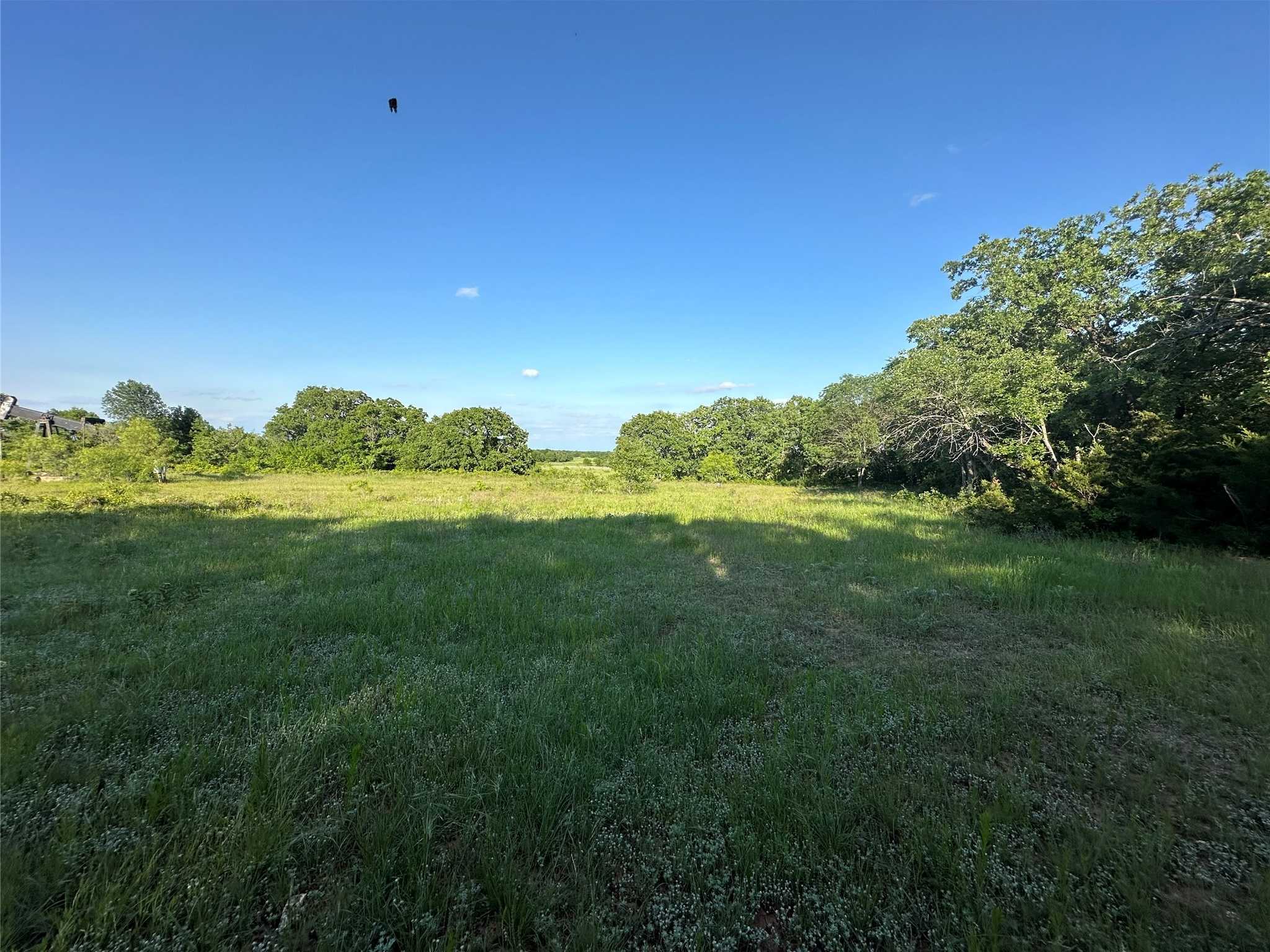 photo 3: TBD County Road 1895, Chico TX 76431