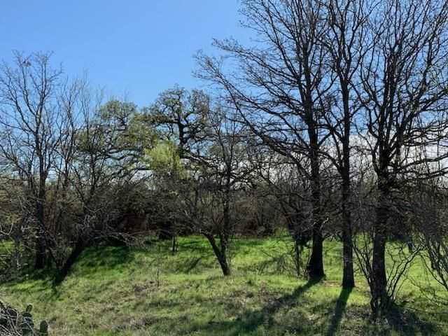 photo 1: 4400 Burwick Road, Jacksboro TX 76458