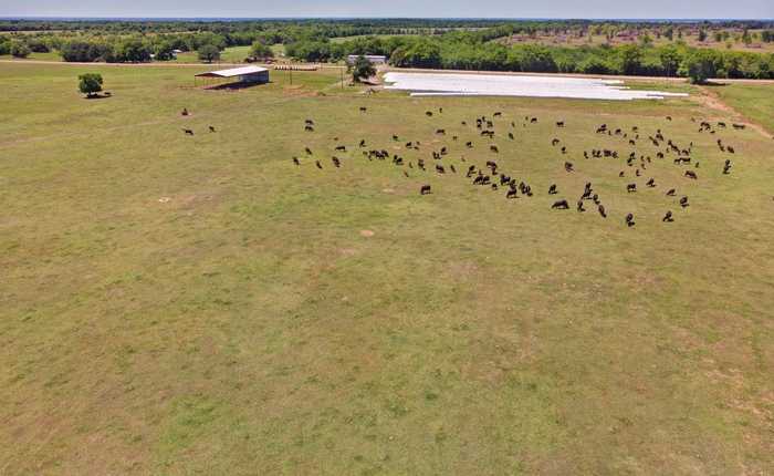 photo 1: TBD W TBD Farm Road 71 W, Sulphur Springs TX 75482