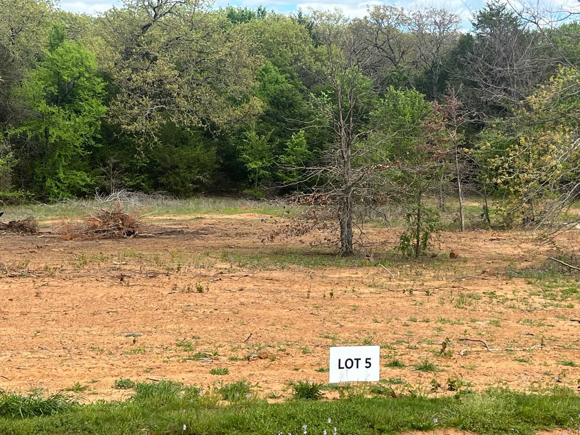 photo 2: Lot 5 Shady Oak Ln, Valley View TX 76272