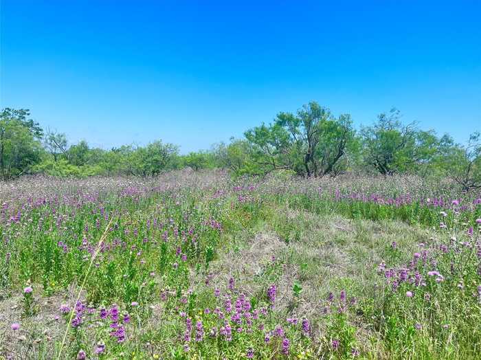 photo 1: lot59 Comanche Lake Road, Comanche TX 76442