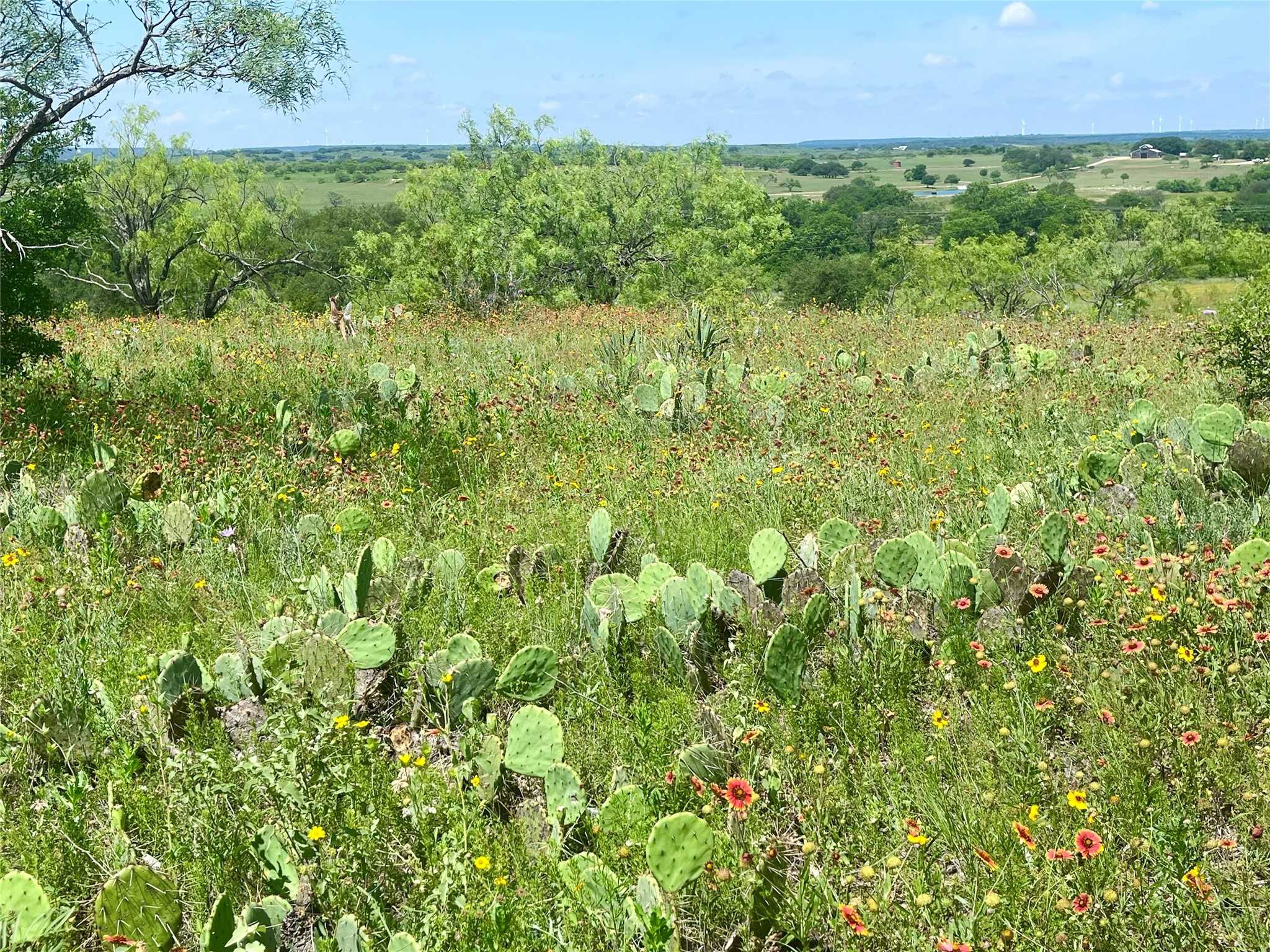 photo 2: lot59 Comanche Lake Road, Comanche TX 76442