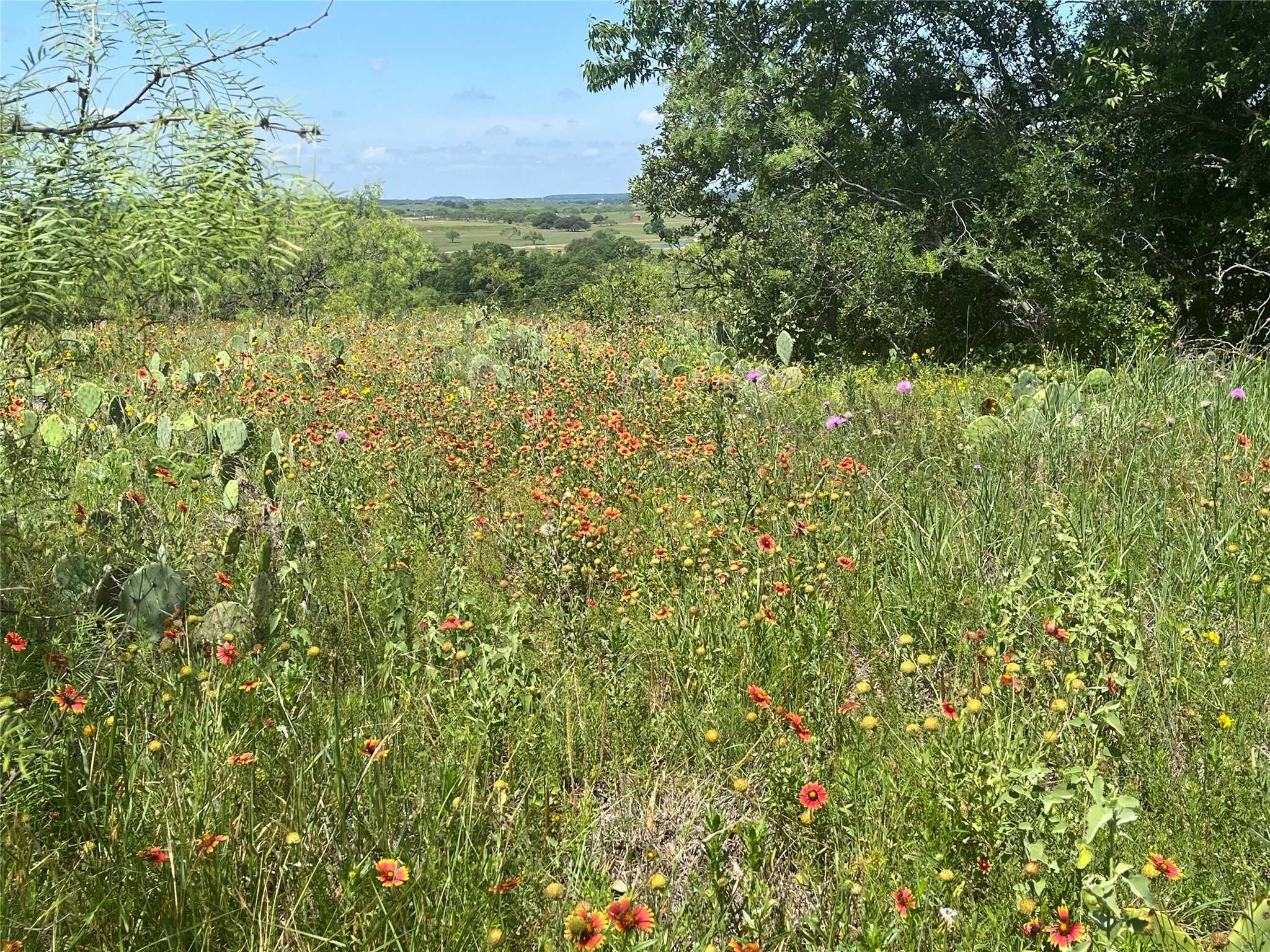 photo 3: lot59 Comanche Lake Road, Comanche TX 76442