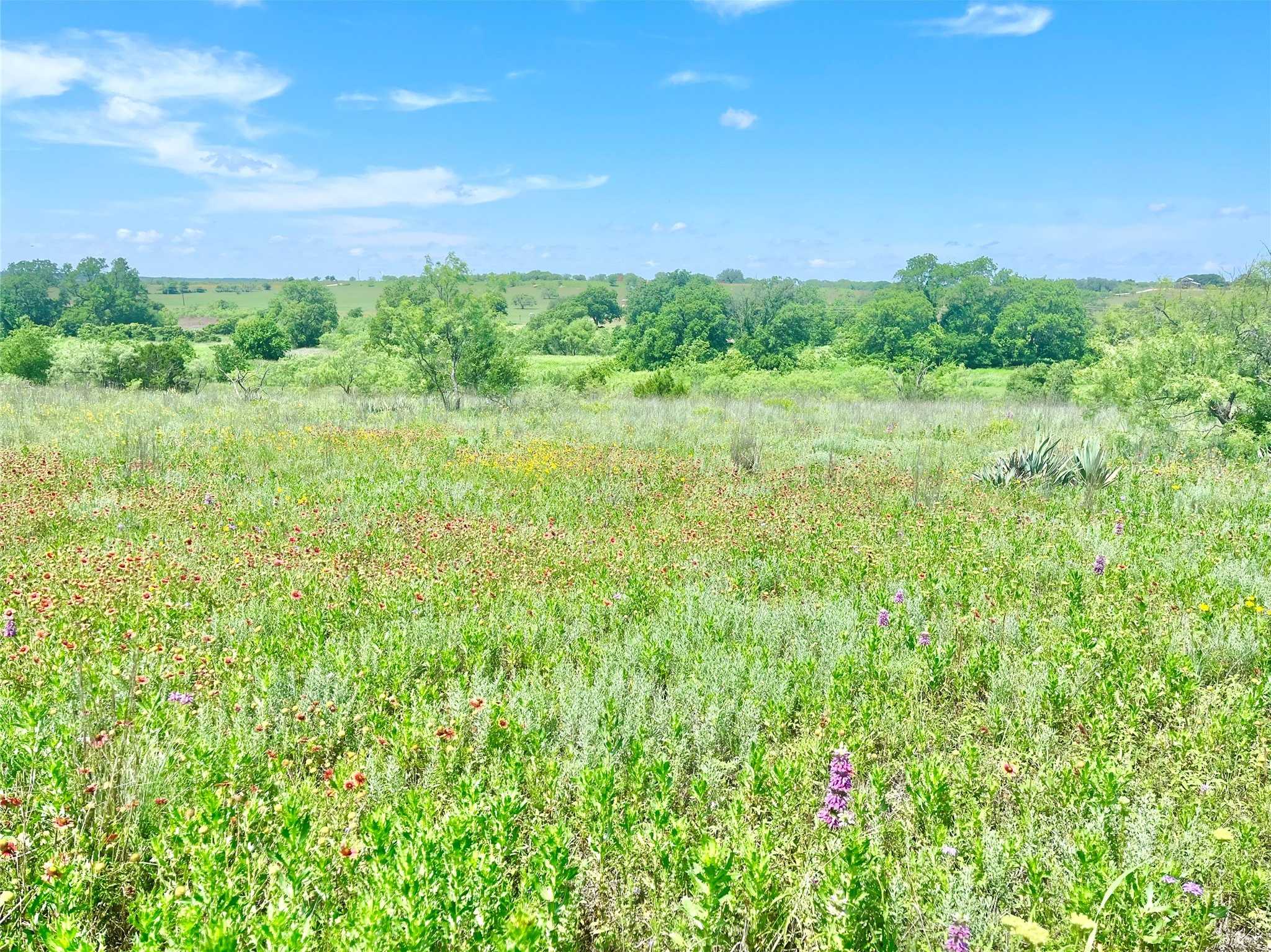 photo 2: Lot69 Greenwood Road, Comanche TX 76442