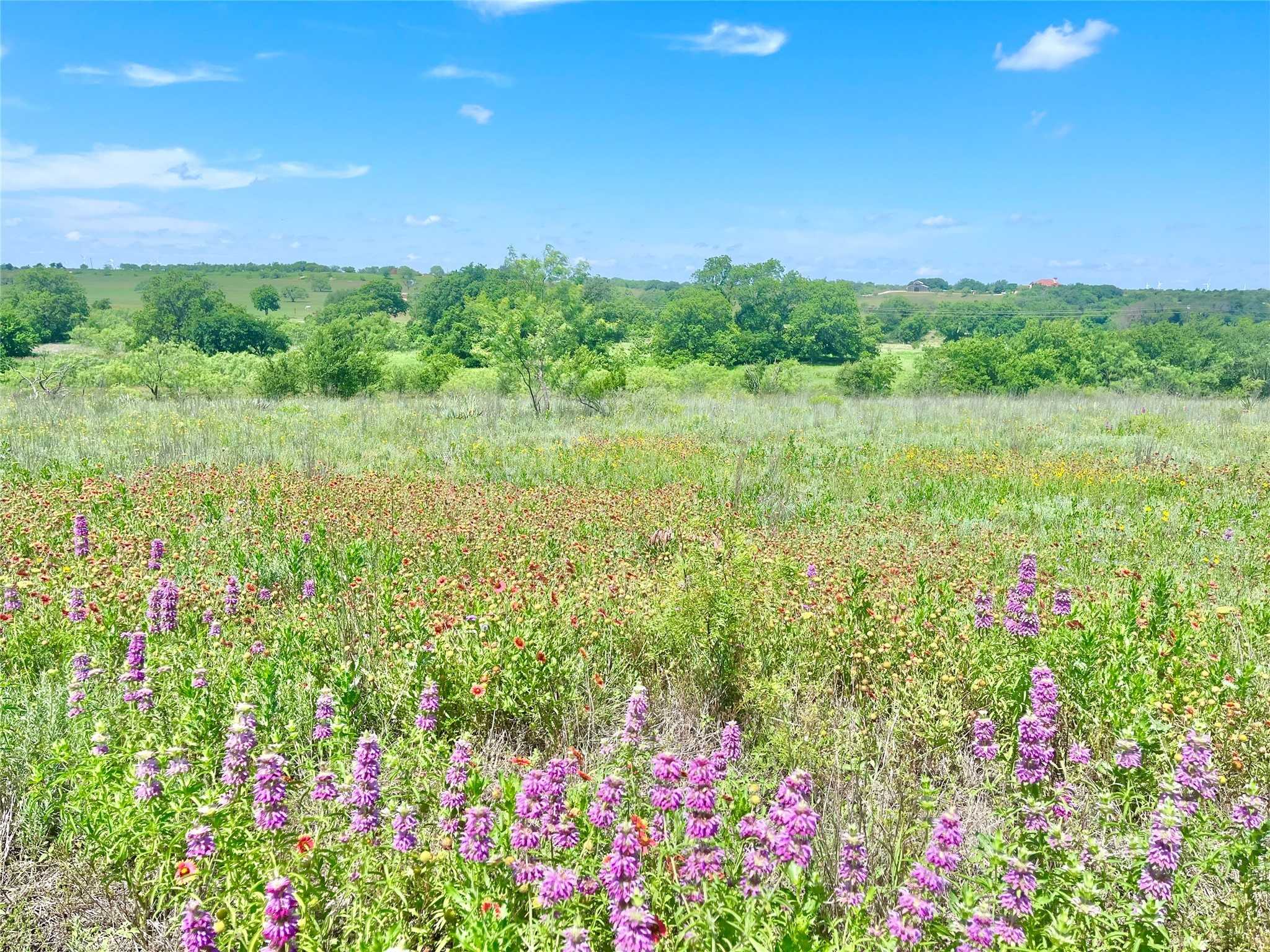 photo 3: Lot69 Greenwood Road, Comanche TX 76442