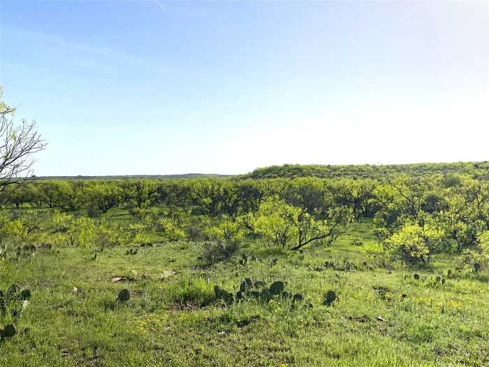 photo 1: 333 Acres County Road 414, Throckmorton TX 76483