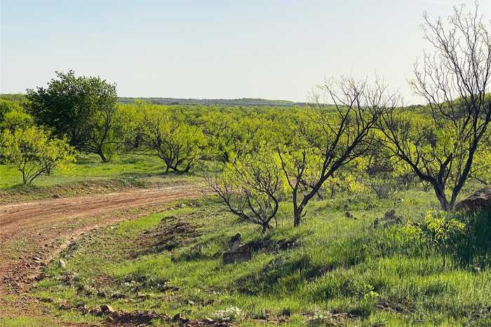 photo 2: 333 Acres County Road 414, Throckmorton TX 76483