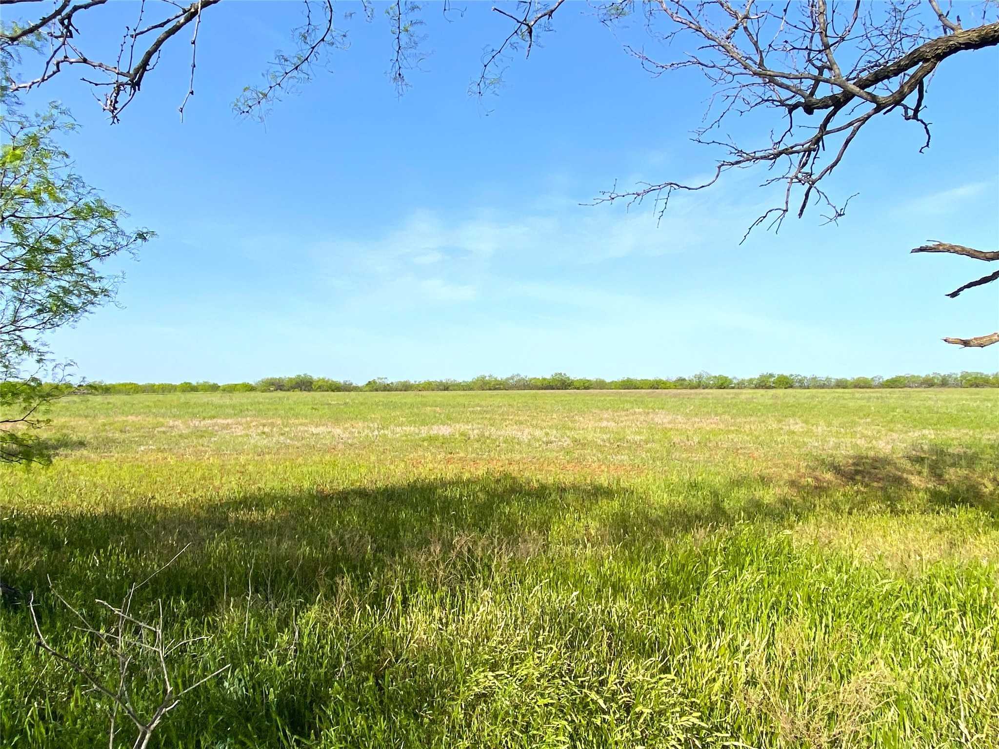 photo 3: 333 Acres County Road 414, Throckmorton TX 76483