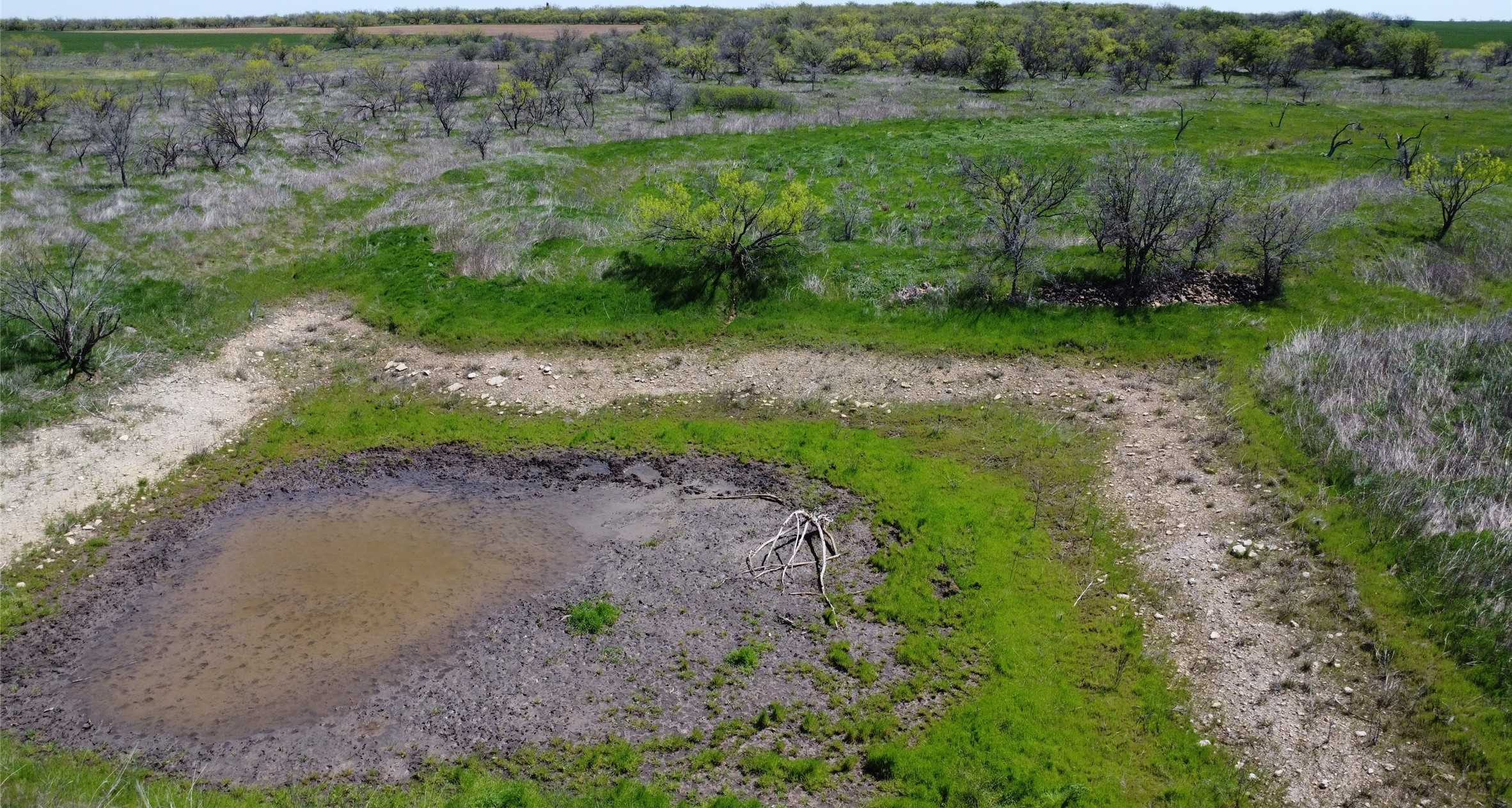 photo 2: FM 923, Throckmorton TX 79606