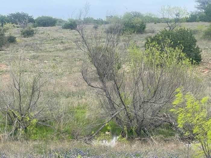 photo 2: 122 Private Road 2562, Santa Anna TX 76878