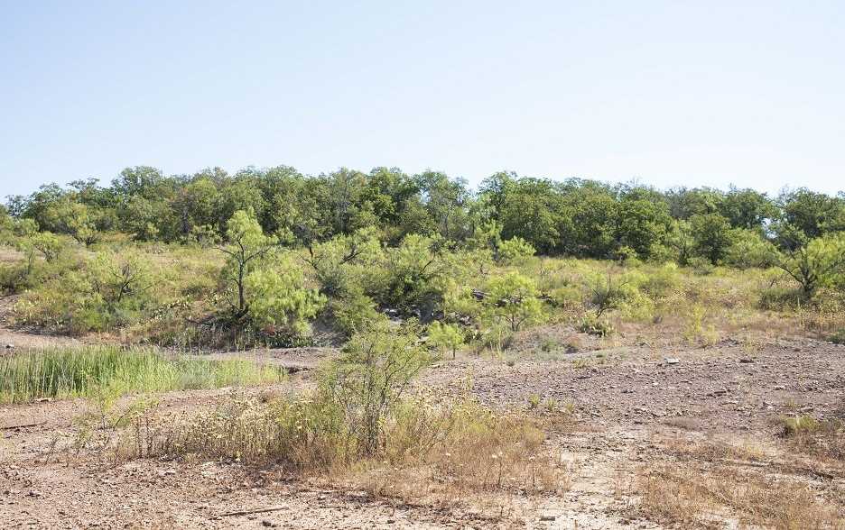 photo 2: tbd County Road 149, Brownwood TX 76801