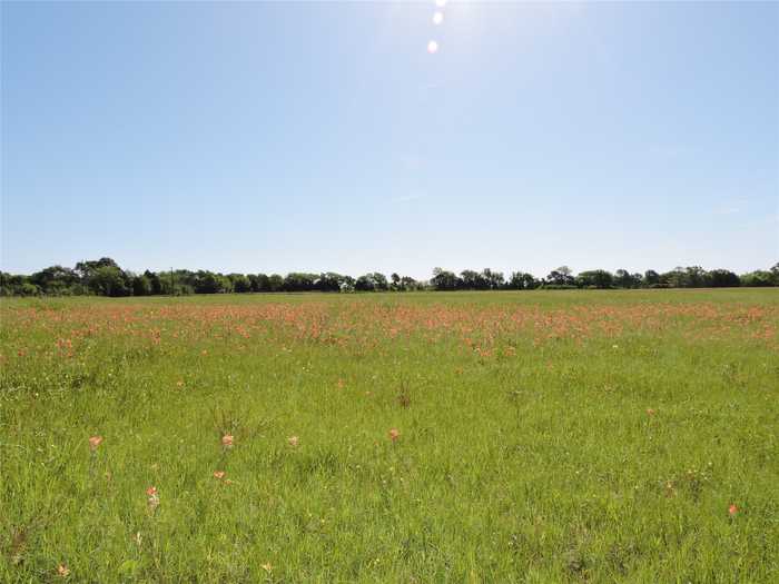 photo 18: 1829 Vz County Road 2311, Mabank TX 75147