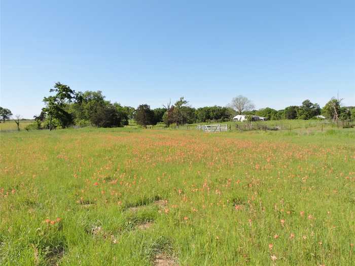 photo 2: 1829 Vz County Road 2311, Mabank TX 75147