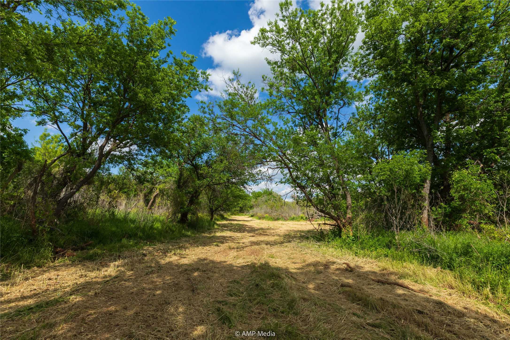 photo 3: LOT 3 TBD CR 327, Abilene TX 79601