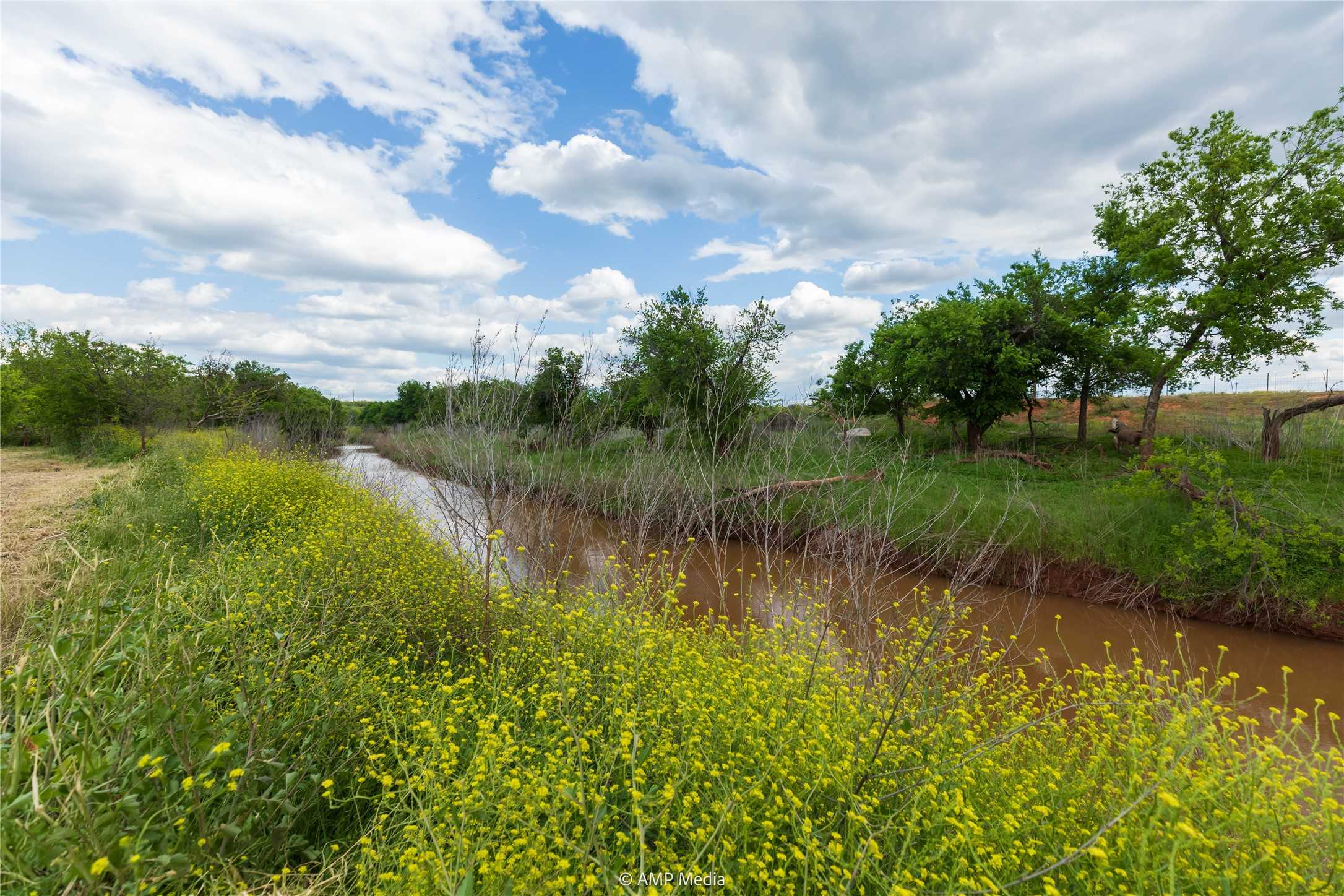 photo 2: LOT 1 TBD CR 327, Abilene TX 79601